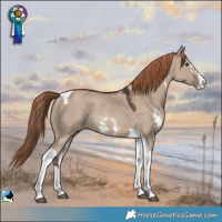 Horse Color:Liver Red Dun Sabino Tobiano Rabicano 