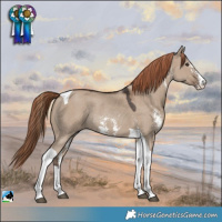 Horse Color:Liver Red Dun Sabino Tobiano Rabicano