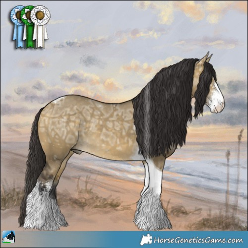 Horse Color:Buckskin Ice Dun Sabino Tobiano Rabicano 