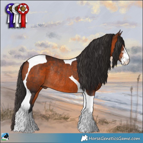 Horse Color:Brown Sabino Tobiano Rabicano 