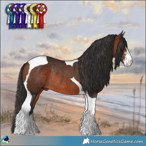 Horse Color:Brown Sabino Tobiano Rabicano 