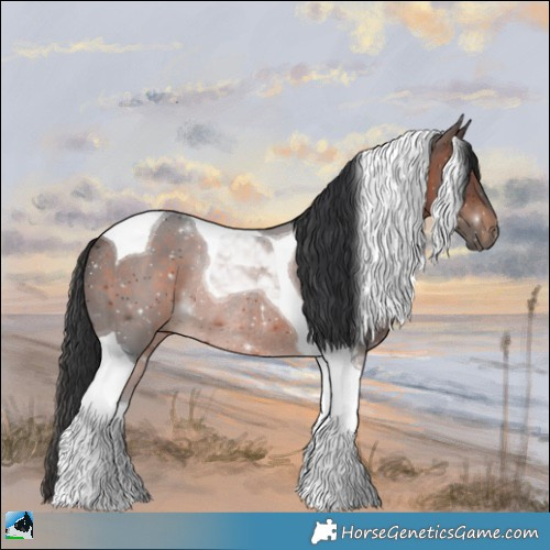 Horse Color:Brown Tobiano Rabicano 