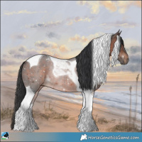 Horse Color:Brown Tobiano Rabicano