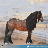 Horse Color:Brown Ice Rabicano 