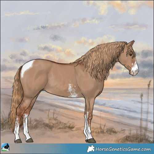 Horse Color:Red Dun Sabino Tobiano Rabicano 