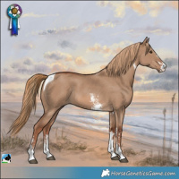 Horse Color:Red Dun Sabino Tobiano Rabicano