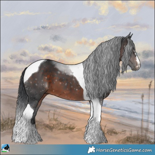 Horse Color:Brown Mushroom Tobiano
