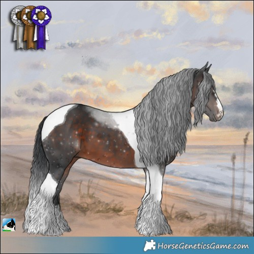 Horse Color:Brown Mushroom Tobiano