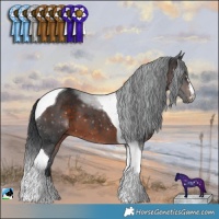 Horse Color:Brown Mushroom Tobiano 