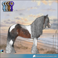 Horse Color:Brown Mushroom Tobiano 
