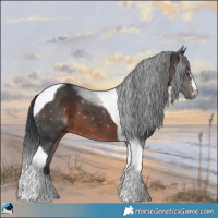 Horse Color:Brown Mushroom Tobiano