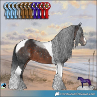 Horse Color:Brown Mushroom Tobiano 