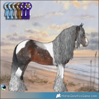 Horse Color:Brown Mushroom Tobiano