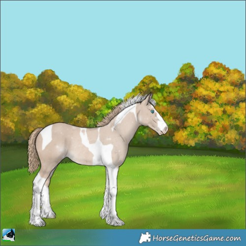 Horse Color:Smoky Creme Mushroom Tobiano Rabicano 