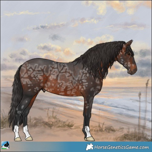 Horse Color:Brown Ice Rabicano 