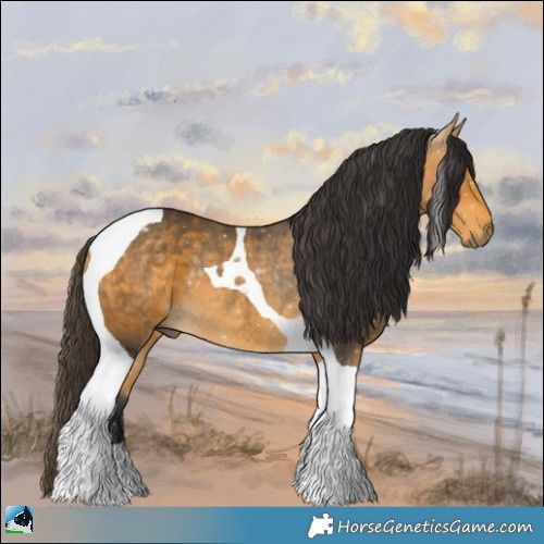 Horse Color:Buckskin Tobiano Rabicano 