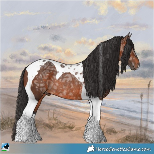 Horse Color:Brown Ice Tobiano Rabicano 