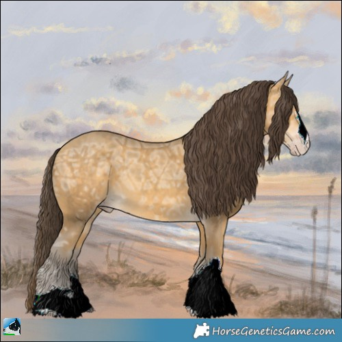Horse Color:Sable Cream Champagne Ice 