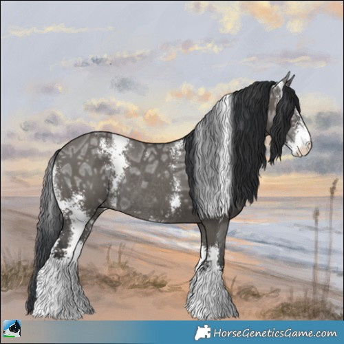 Horse Color:Grullo Ice Sabino Rabicano 