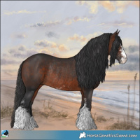Horse Color:Brown Sabino Rabicano