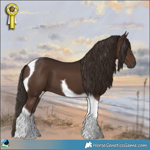 Horse Color:Liver Chestnut Tobiano