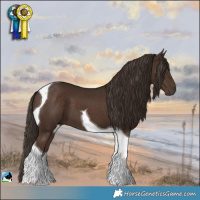Horse Color:Liver Chestnut Tobiano 