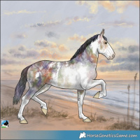 Horse Color:Nacre Buckskin Ice Sabino