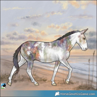Horse Color:Nacre Buckskin Ice Sabino 