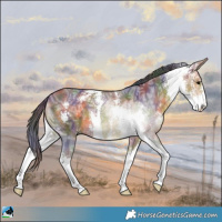 Horse Color:Nacre Buckskin Ice Sabino 