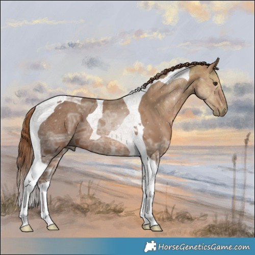 Horse Color:Chestnut Ice Tobiano 