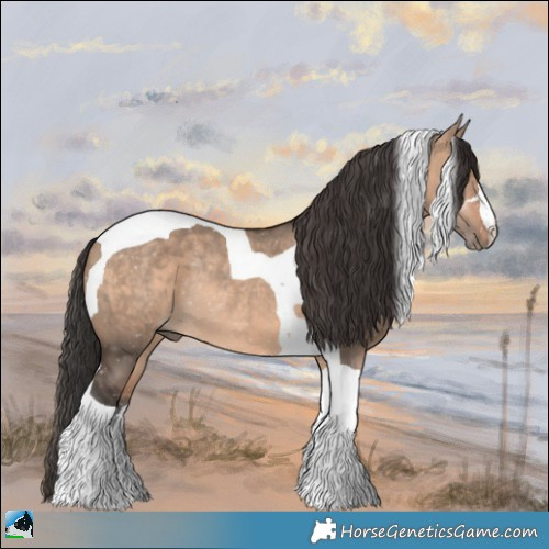 Horse Color:Bay Dun Mushroom Tobiano Rabicano 