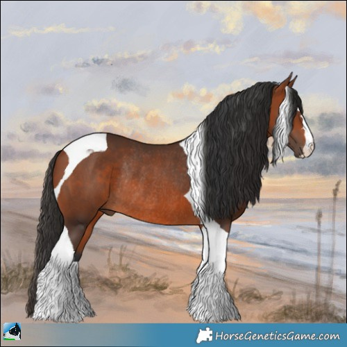 Horse Color:Bay Tobiano Rabicano 