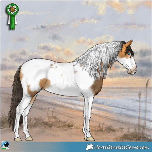 Horse Color:Buckskin Tobiano Frame Rabicano 