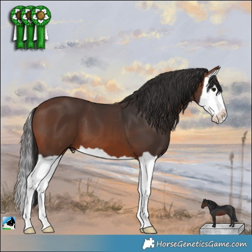 Horse Color:Brown Splash 