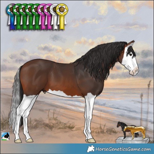 Horse Color:Brown Splash 