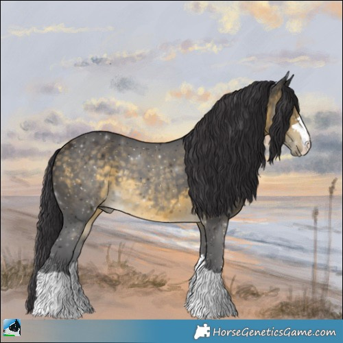 Horse Color:Buckskin Mushroom 