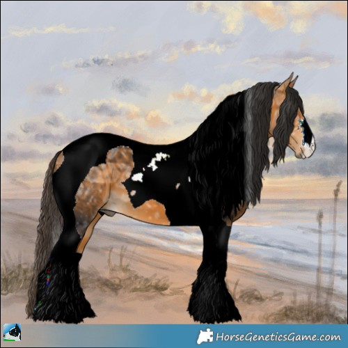 Horse Color:Buckskin Ice Tobiano 