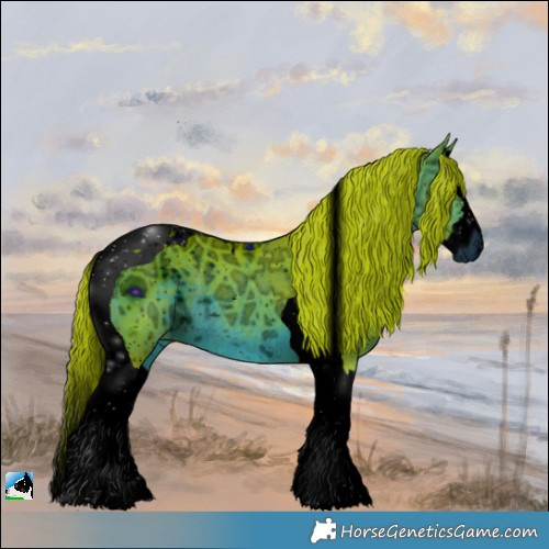 Horse Color:ERROR: UNKNOWN ANOMALY