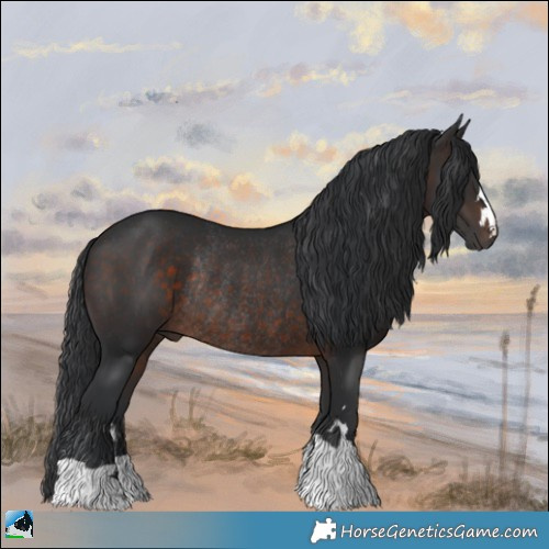 Horse Color:Brown Mushroom Rabicano 