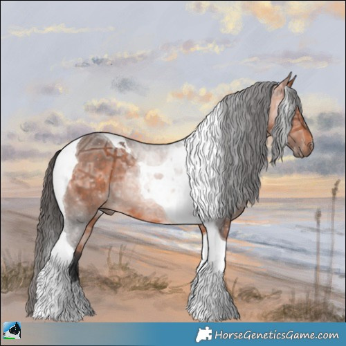 Horse Color:Bay Ice Mushroom Tobiano Rabicano 