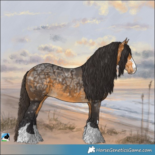 Horse Color:Buckskin Ice Rabicano