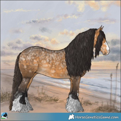 Horse Color:Buckskin Ice Rabicano