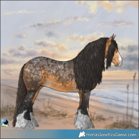 Horse Color:Buckskin Ice Rabicano 