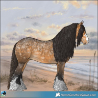 Horse Color:Buckskin Ice Rabicano 