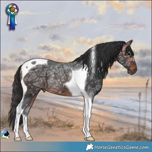 Horse Color:Bay Ice Tobiano Rabicano 