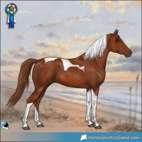 Horse Color:Chestnut Tobiano 