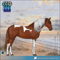 Horse Color:Chestnut Tobiano 