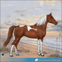 Horse Color:Chestnut Tobiano 