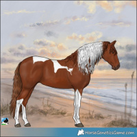 Horse Color:Chestnut Tobiano