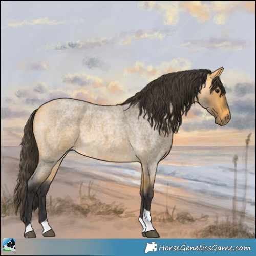 Horse Color:Buckskin Roan Tobiano 